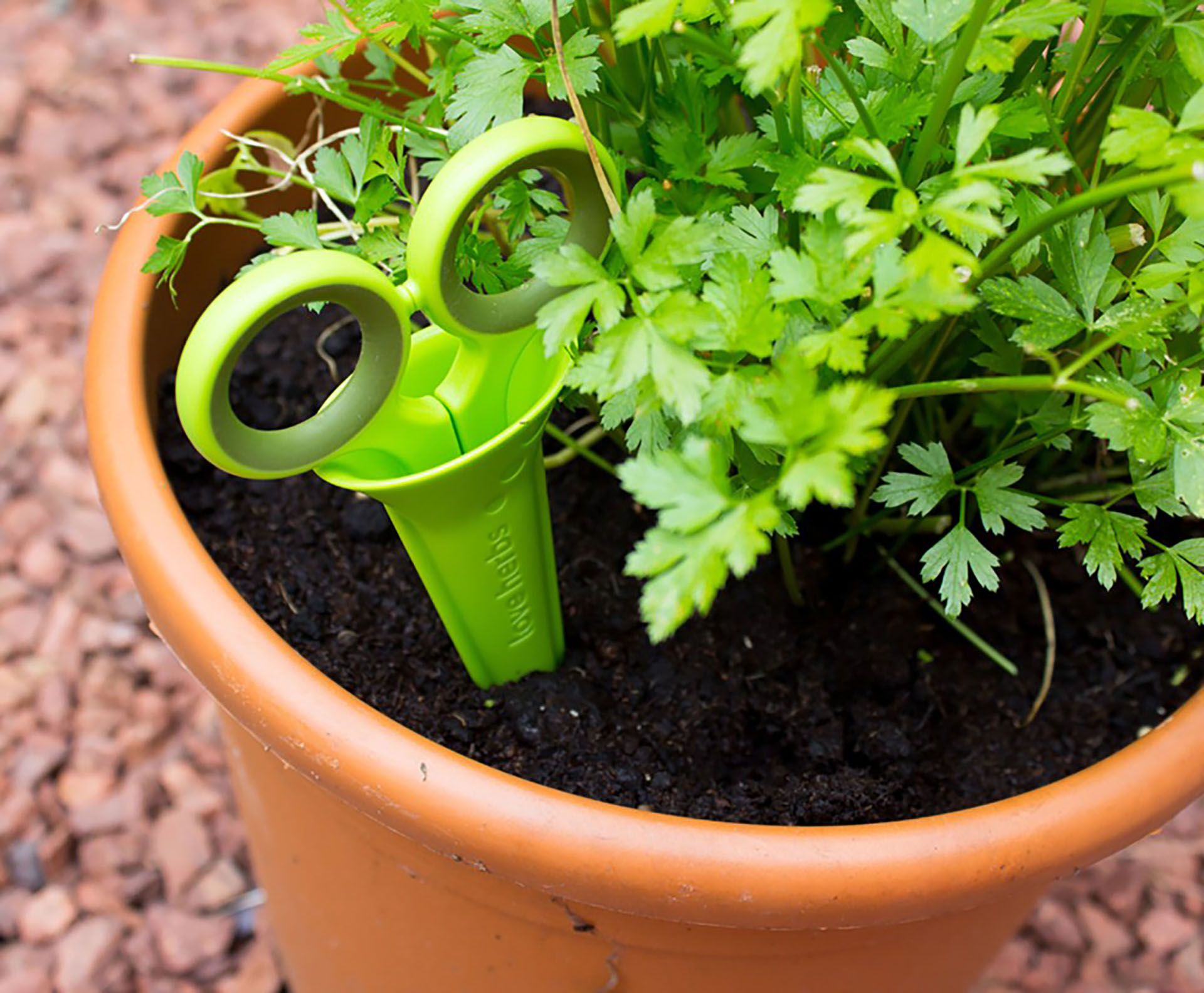 HERB SCISSORS